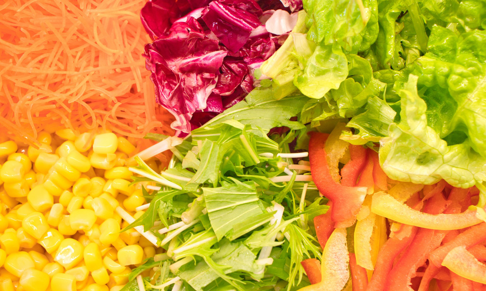 カット野菜工場